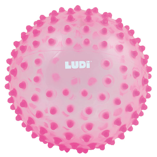 Сенсорный мяч (20 см)