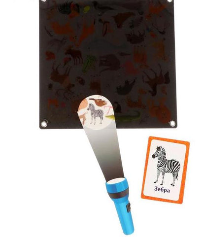 Galda spēle “Spiegi zoodārzā”