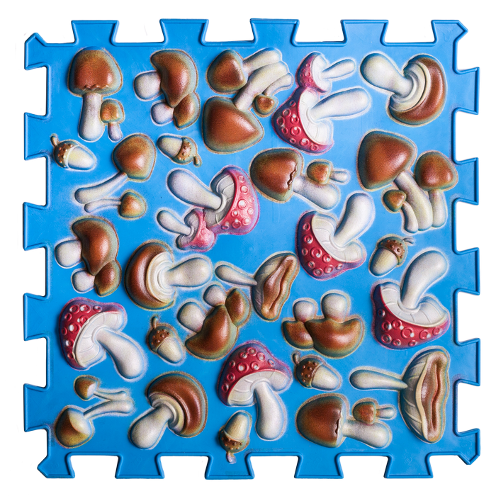Ortopēdisko paklājiņu komplekts "Blue Mushroom 6"