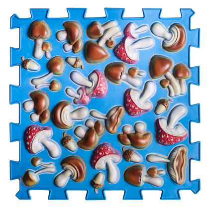 Ortopēdisko paklājiņu komplekts "Blue Mushroom 6"