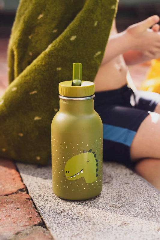 Ūdens pudele Mr.Dino (350 ml)