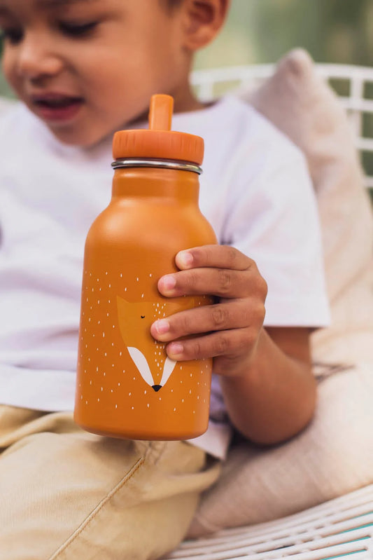 Ūdens pudele Mr.Fox (350 ml)