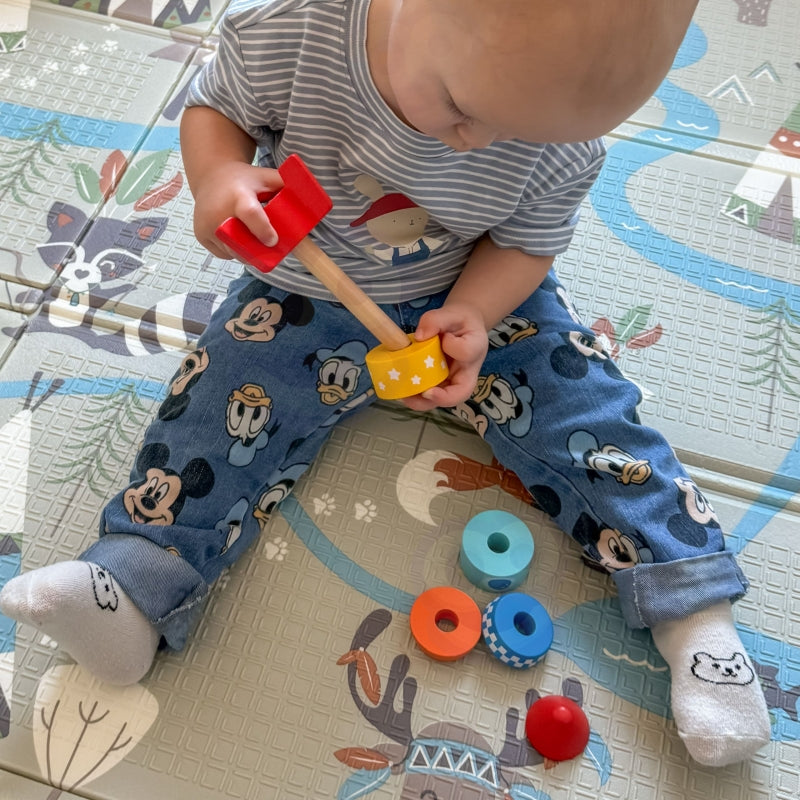 Montesori rotaļlietu komplekts (16-18 mēn.)