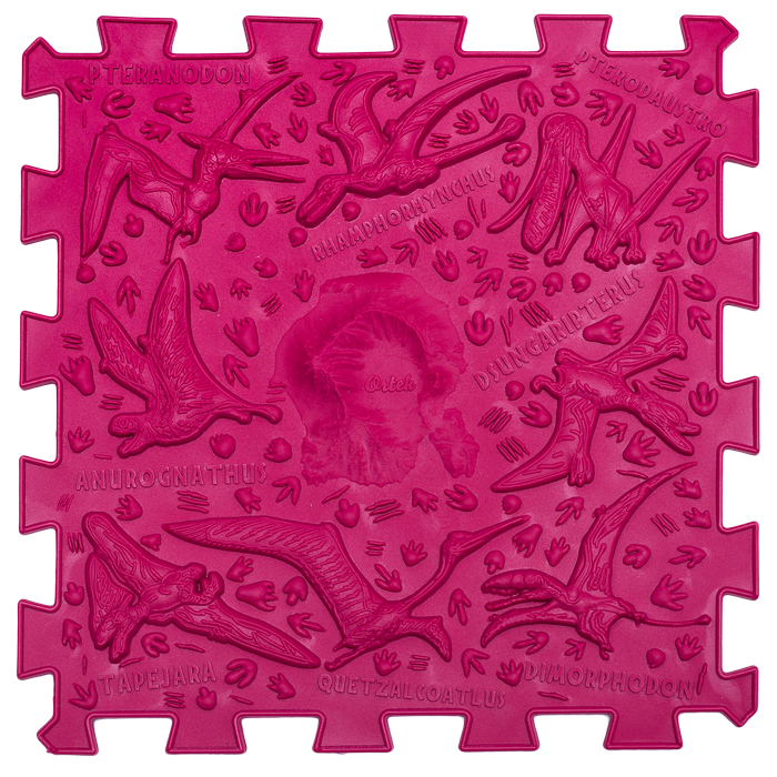 Ortopēdisko paklājiņu komplekts "Dinosaurs Puzzle 12 + 8"