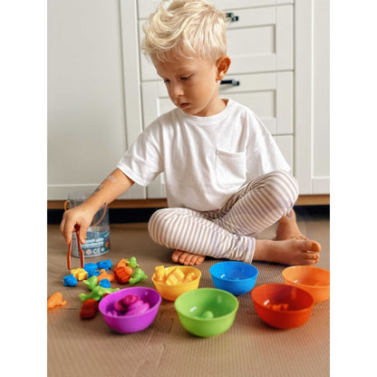 Sorteris "Transports"