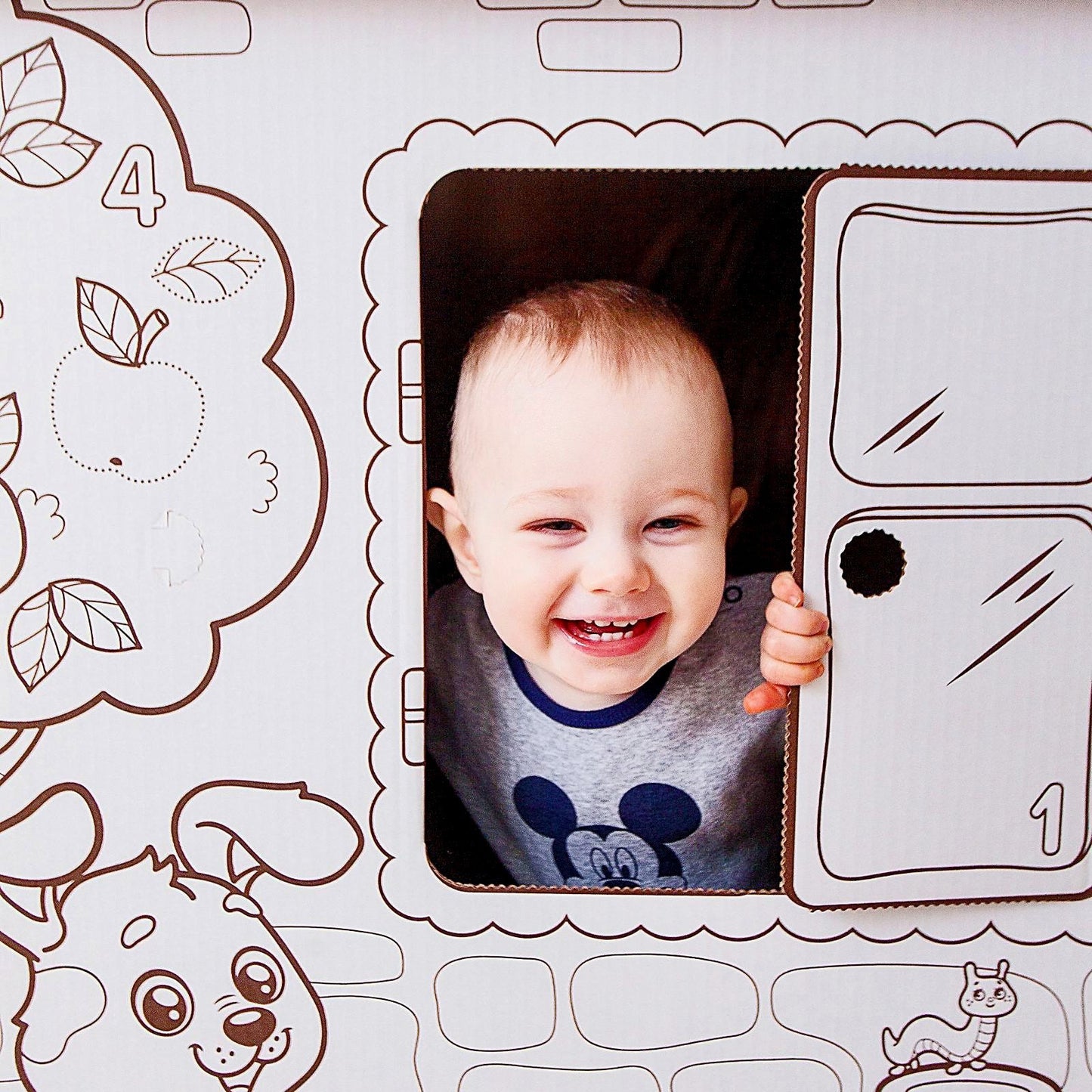 Krāsojamā kartona māja