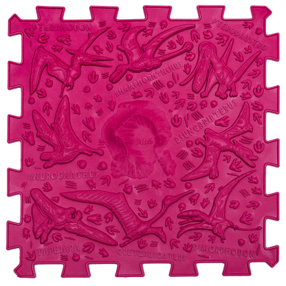 Ortopēdisko paklājiņu komplekts "Dinosaurs Puzzle 9+6"