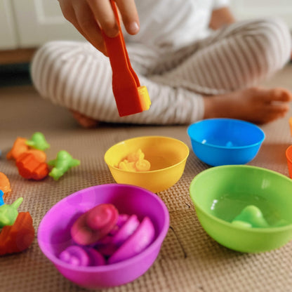 Sorteris "Transports"