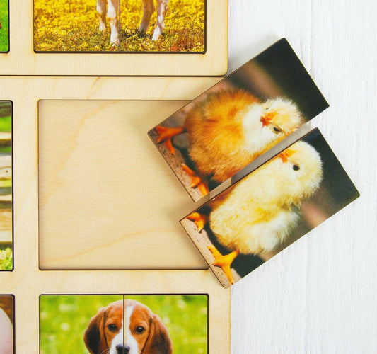 Wooden frames "Animals"