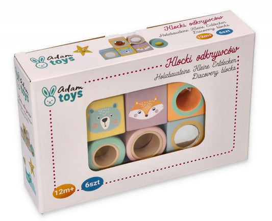 Деревянные кубики "Discovery Blocks"