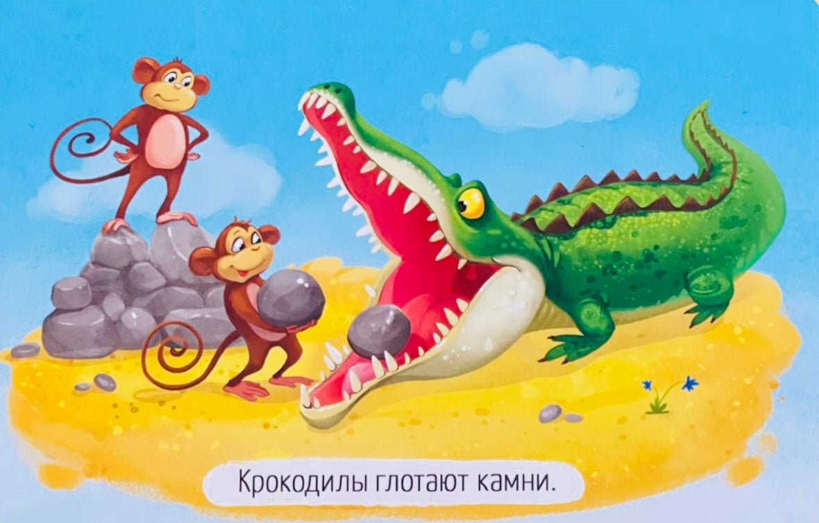 Spēle "Patiesība vai meli?" (dzīvnieki)